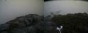 ./images/calvert/buxton2/20170924/buxton220170924_095403M.jpg