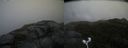 ./images/calvert/buxton2/20170924/buxton220170924_101902M.jpg