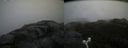 ./images/calvert/buxton2/20170924/buxton220170924_105403M.jpg