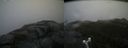 ./images/calvert/buxton2/20170924/buxton220170924_110402M.jpg