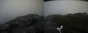 ./images/calvert/buxton2/20170924/buxton220170924_113403M.jpg