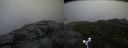 ./images/calvert/buxton2/20170924/buxton220170924_113902M.jpg