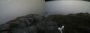 ./images/calvert/buxton2/20170924/buxton220170924_122903M.jpg
