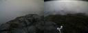 ./images/calvert/buxton2/20170924/buxton220170924_140402M.jpg