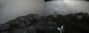 ./images/calvert/buxton2/20170924/buxton220170924_141902M.jpg