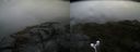 ./images/calvert/buxton2/20170925/buxton220170925_131346M.jpg