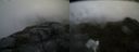 ./images/calvert/buxton2/20170925/buxton220170925_183843M.jpg