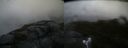 ./images/calvert/buxton2/20170925/buxton220170925_184843M.jpg