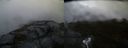 ./images/calvert/buxton2/20170925/buxton220170925_192343M.jpg