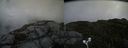 ./images/calvert/buxton2/20170926/buxton220170926_140323M.jpg