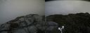 ./images/calvert/buxton2/20170926/buxton220170926_164824M.jpg