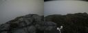 ./images/calvert/buxton2/20170926/buxton220170926_171824M.jpg