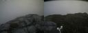 ./images/calvert/buxton2/20170926/buxton220170926_173324M.jpg