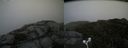 ./images/calvert/buxton2/20170926/buxton220170926_175824M.jpg