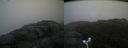 ./images/calvert/buxton2/20170929/buxton220170929_082225M.jpg