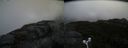 ./images/calvert/buxton2/20170929/buxton220170929_084726M.jpg