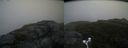 ./images/calvert/buxton2/20170929/buxton220170929_092726M.jpg
