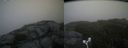 ./images/calvert/buxton2/20170930/buxton220170930_164204M.jpg