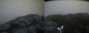 ./images/calvert/buxton2/20170930/buxton220170930_170205M.jpg
