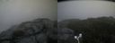 ./images/calvert/buxton2/20170930/buxton220170930_175205M.jpg