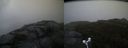 ./images/calvert/buxton2/20171006/buxton220171006_081008M.jpg