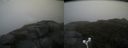 ./images/calvert/buxton2/20171007/buxton220171007_114448M.jpg