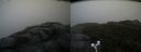./images/calvert/buxton2/20171009/buxton220171009_093407M.jpg