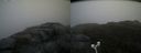 ./images/calvert/buxton2/20171009/buxton220171009_094907M.jpg