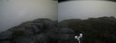 ./images/calvert/buxton2/20171009/buxton220171009_101906M.jpg