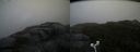 ./images/calvert/buxton2/20171009/buxton220171009_102406M.jpg