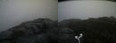 ./images/calvert/buxton2/20171009/buxton220171009_105407M.jpg