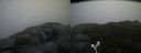 ./images/calvert/buxton2/20171009/buxton220171009_110408M.jpg