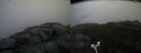 ./images/calvert/buxton2/20171009/buxton220171009_113407M.jpg