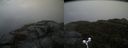./images/calvert/buxton2/20171009/buxton220171009_114407M.jpg