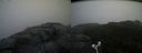 ./images/calvert/buxton2/20171009/buxton220171009_115909M.jpg