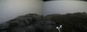 ./images/calvert/buxton2/20171009/buxton220171009_120910M.jpg