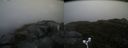 ./images/calvert/buxton2/20171009/buxton220171009_121907M.jpg