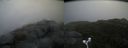 ./images/calvert/buxton2/20171009/buxton220171009_144407M.jpg