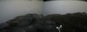 ./images/calvert/buxton2/20171009/buxton220171009_145407M.jpg