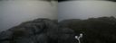 ./images/calvert/buxton2/20171009/buxton220171009_150910M.jpg