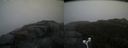 ./images/calvert/buxton2/20171009/buxton220171009_151906M.jpg