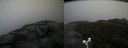 ./images/calvert/buxton2/20171014/buxton220171014_111915M.jpg