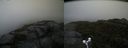./images/calvert/buxton2/20171014/buxton220171014_122414M.jpg