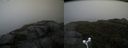 ./images/calvert/buxton2/20171014/buxton220171014_140914M.jpg