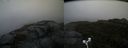 ./images/calvert/buxton2/20171014/buxton220171014_164415M.jpg