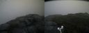 ./images/calvert/buxton2/20171016/buxton220171016_112949M.jpg