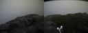 ./images/calvert/buxton2/20171016/buxton220171016_132945M.jpg