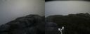 ./images/calvert/buxton2/20171016/buxton220171016_165946M.jpg