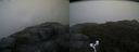 ./images/calvert/buxton2/20171016/buxton220171016_172945M.jpg