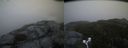 ./images/calvert/buxton2/20171031/buxton220171031_083031M.jpg